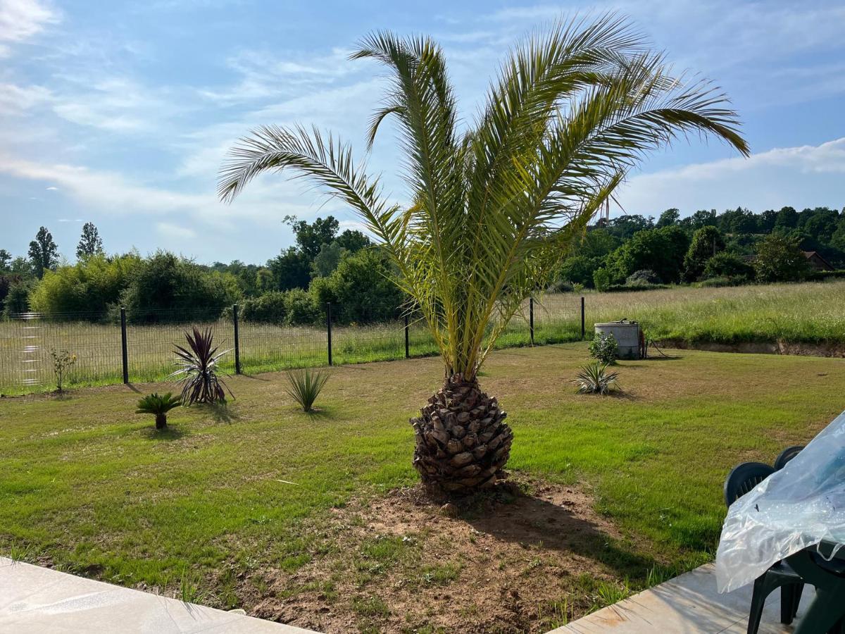 Chambre Double -Vue Sur Jardin Bergerac Exterior photo
